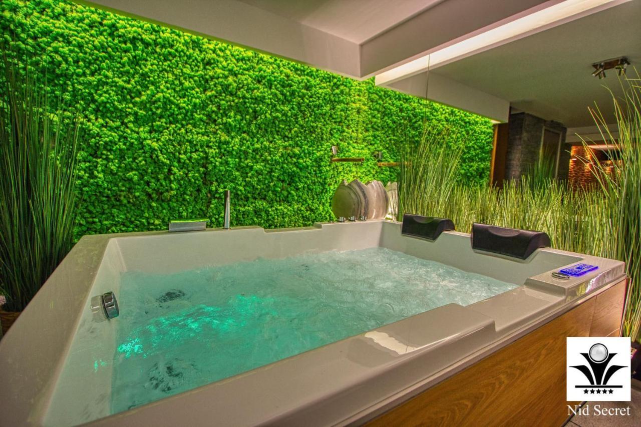 Panoramique 180 Lac Et Montagne Et Nid Secret Spa Romantique Annecy Exterior photo